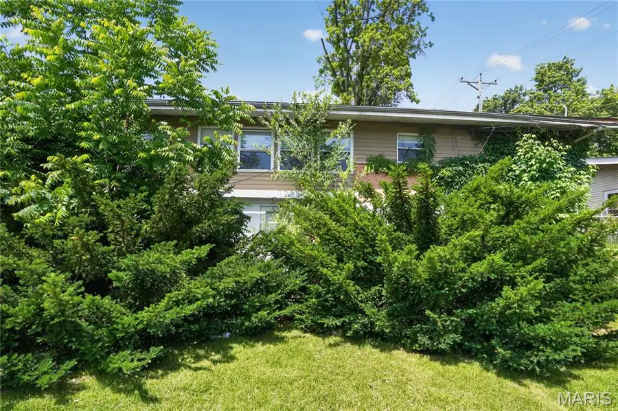 11062 Saginaw Drive, Saint Louis, MO 63136 - #2