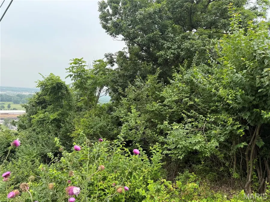 13010 Big Bend Road, Saint Louis, MO 63122 - #2