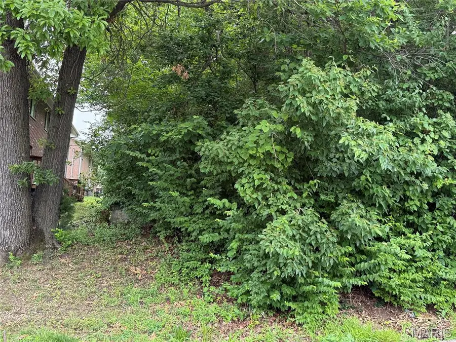 2454 Prouhet Avenue, Saint Louis, MO 63114 - #3