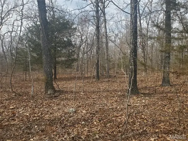 0 S Highway 17, Laquey, MO 65534