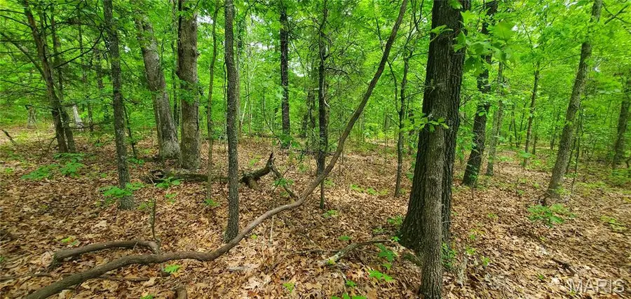 0 S Highway 17, Laquey, MO 65534 - #3