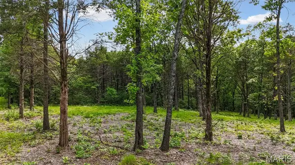 299 Whitetail Ridge, Dittmer, MO 63023