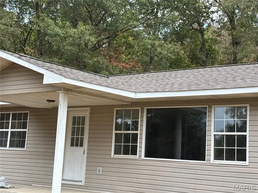 11309 County Road 234, Wayne, MO 63960 - #2
