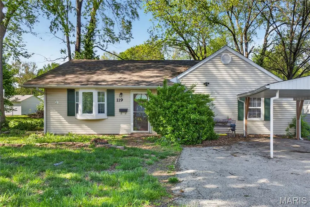 119 S 37th Street, Belleville, IL 62226 - #1