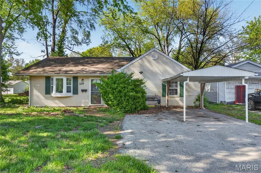 119 S 37th Street, Belleville, IL 62226 - #3