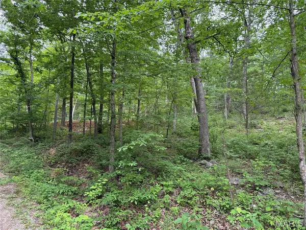 0 Lot 84 Mallard Road, Middlebrook, MO 63656