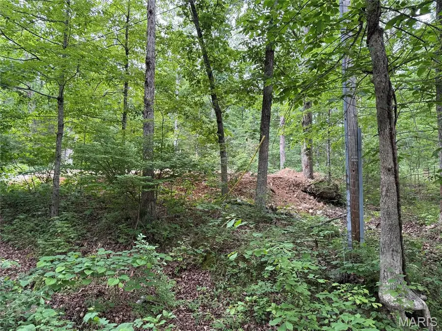 0 Lot 84 Mallard Road, Arcadia, MO 63656 - #2