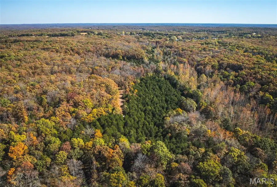 43 +/- Acres Tbd Highway H, Gerald, MO 63037 - #3