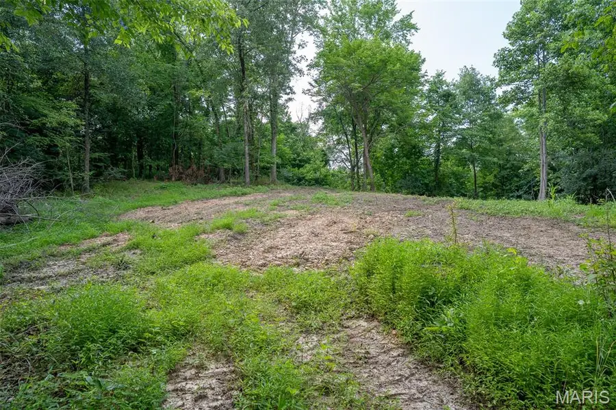 0 Old Sprigg Street Road (tract# 3), Cape Girardeau, MO 63701 - #3