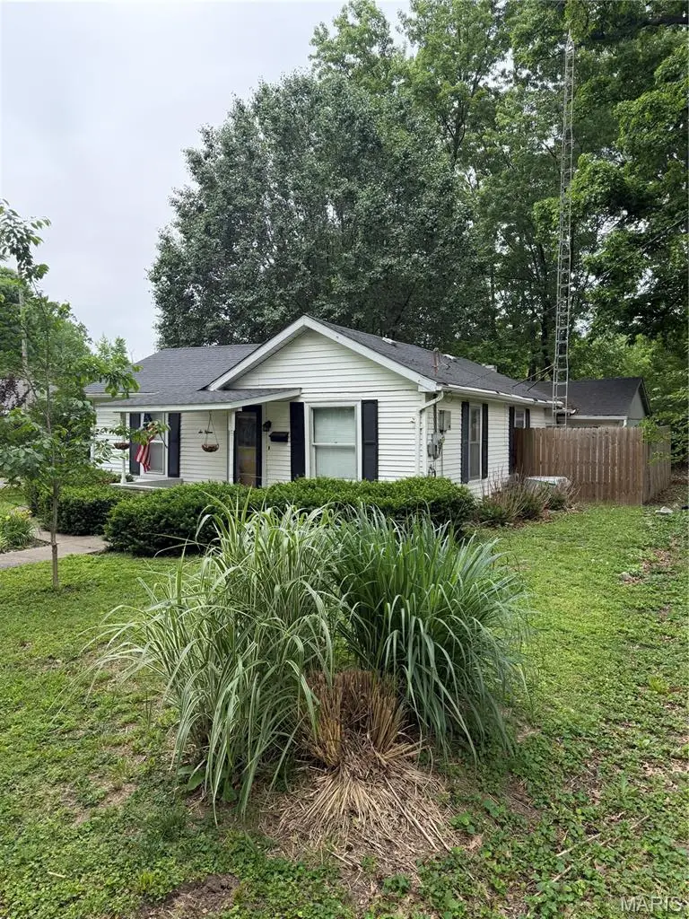 615 Vine Street, Du Quoin No 1, IL 62832 - #2