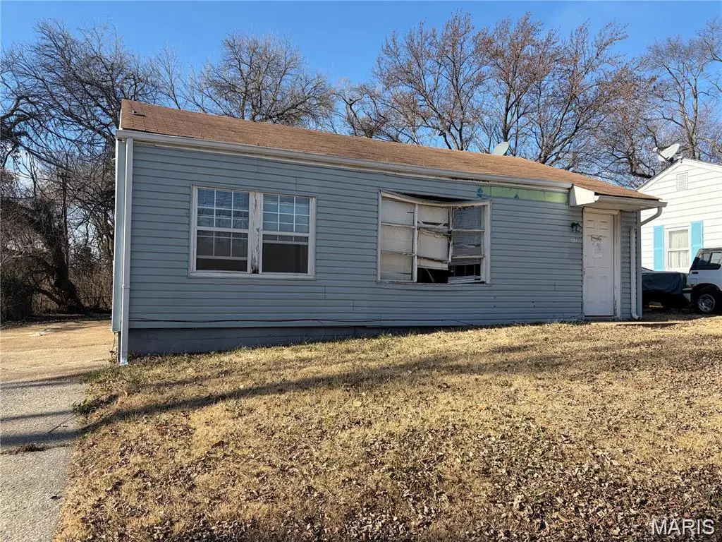 317 Mueller Avenue, Ferguson, MO 63135 - #1