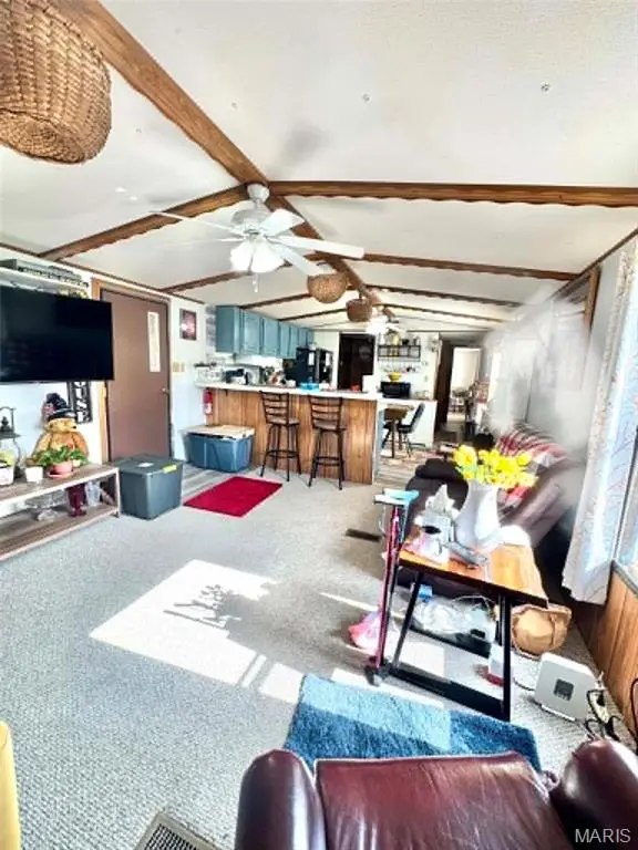 41831 Pleasant Cove Pl, Perry, MO 63462 - #3