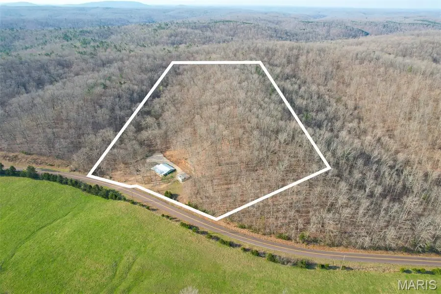 4376 Highway Bb, Annapolis, MO 63620 - #2