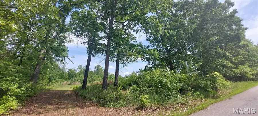 2827 Oberhelman Road, Foristell, MO 63348 - #3