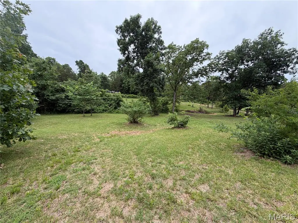 1048 Florence Freeway, Park Hills, MO 63601 - #1