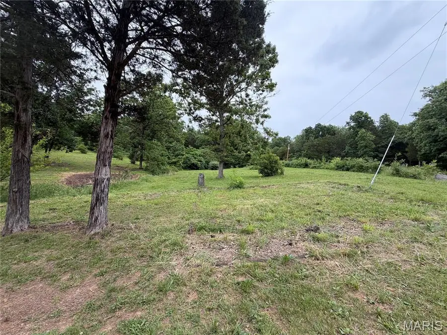 1048 Florence Freeway, Park Hills, MO 63601 - #2
