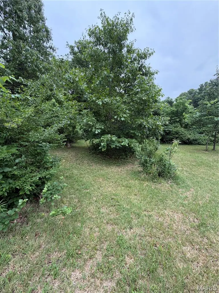 1048 Florence Freeway, Park Hills, MO 63601 - #3