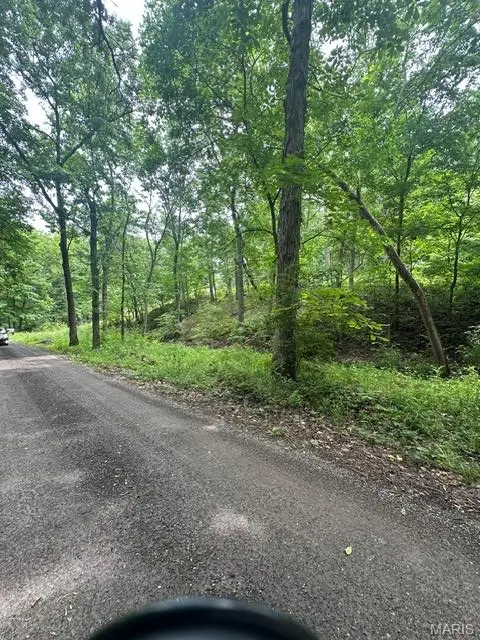 136 Shady Creek Lane, Wentzville, MO 63348 - #3