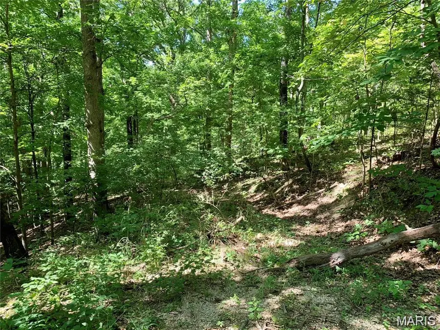 Lots 5-11 Dogwood Lane, Imperial, MO 63052 - #3
