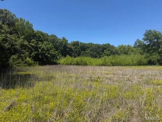 1775 County Road 575, Poplar Bluff, MO 63901 - #3