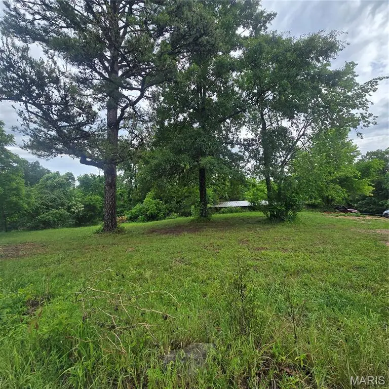 4109 Black Berry Manor, De Soto, MO 63020 - #1