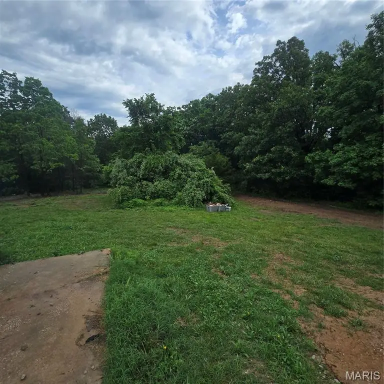 4109 Black Berry Manor, De Soto, MO 63020 - #2