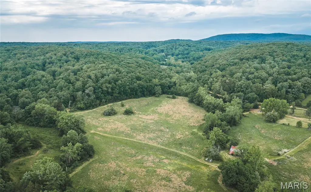000 County Road 353, Piedmont, MO 63957 - #1