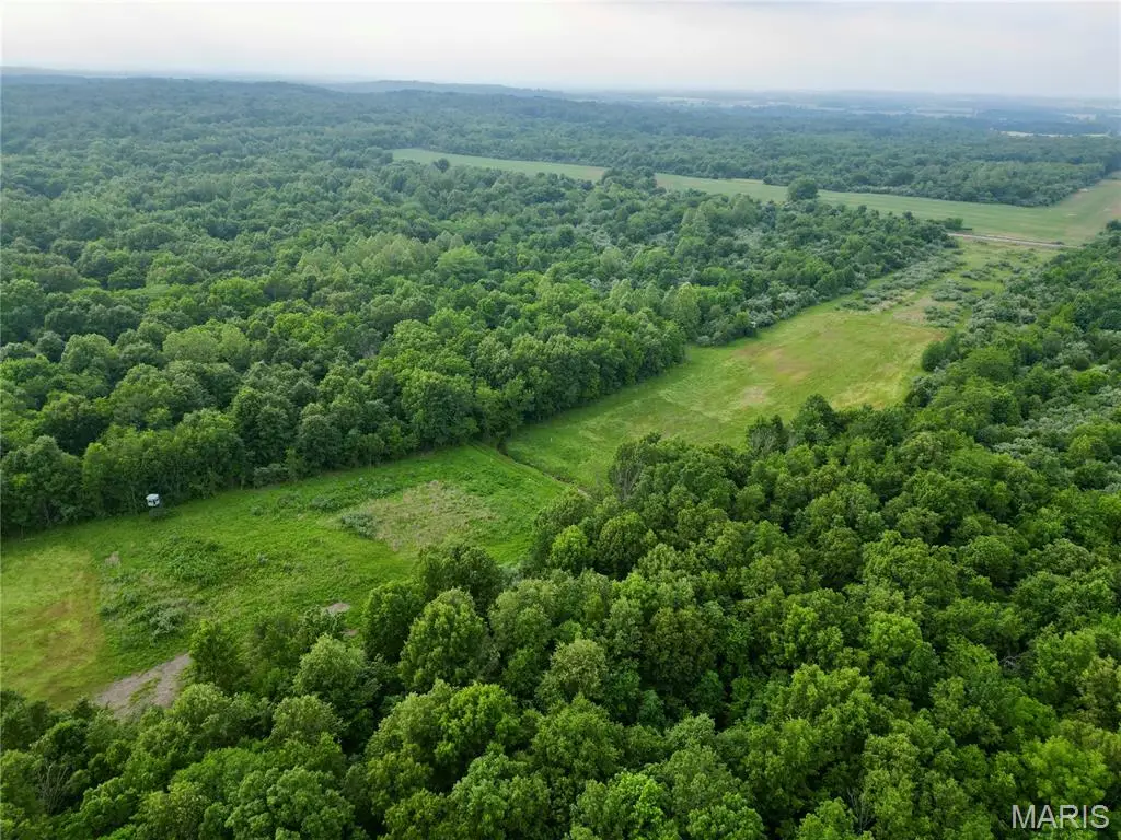 00 County Road 400 East, McLeansboro, IL 62859 - #1