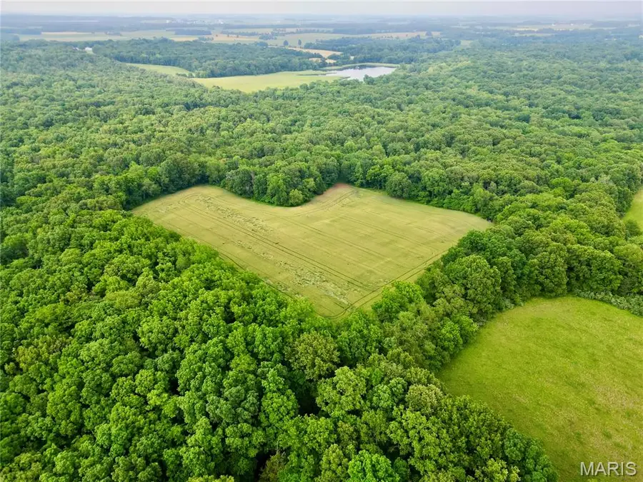 00 County Road 300 East, Dahlgren, IL 62828 - #2