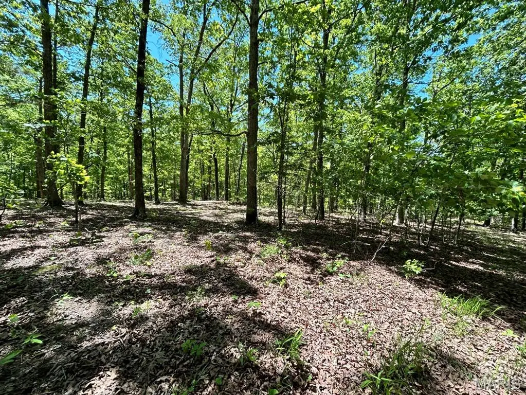 0 Turkey Foot Road, Bourbon, MO 65441 - #1