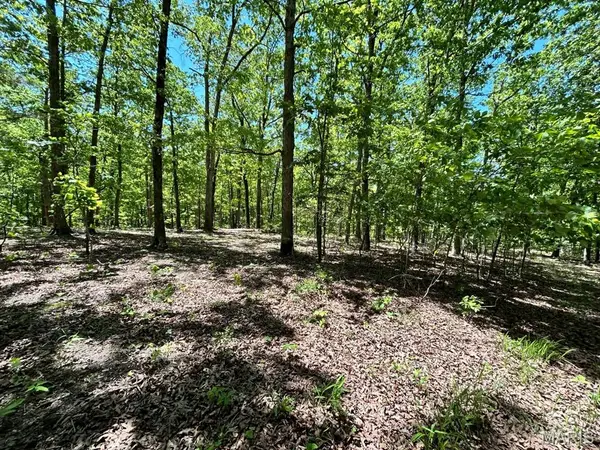 0 Turkey Foot Road, Bourbon, MO 65441