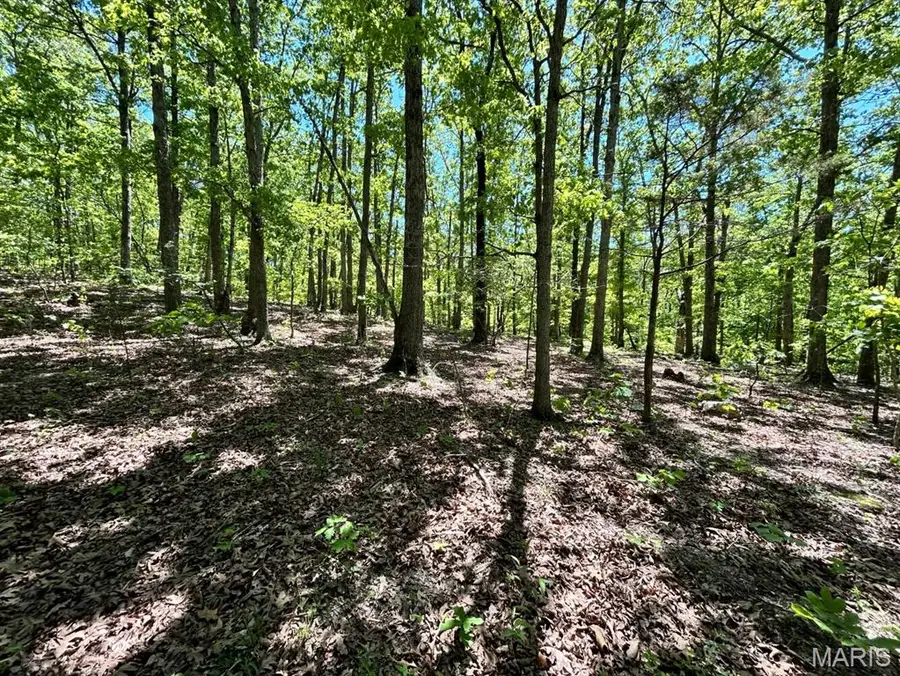 0 Turkey Foot Road, Bourbon, MO 65441 - #2