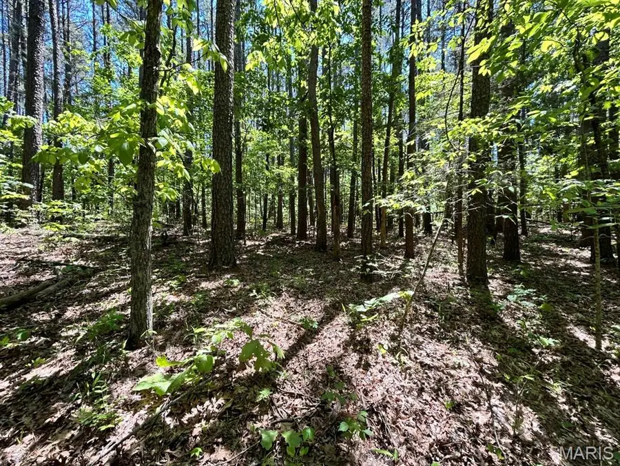 0 Turkey Foot Road, Bourbon, MO 65441 - #3