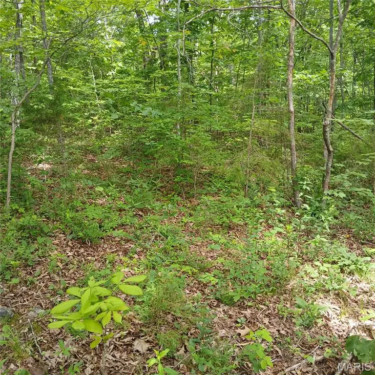 lot 3113 Quincy, Bismarck, MO 63624 - #3
