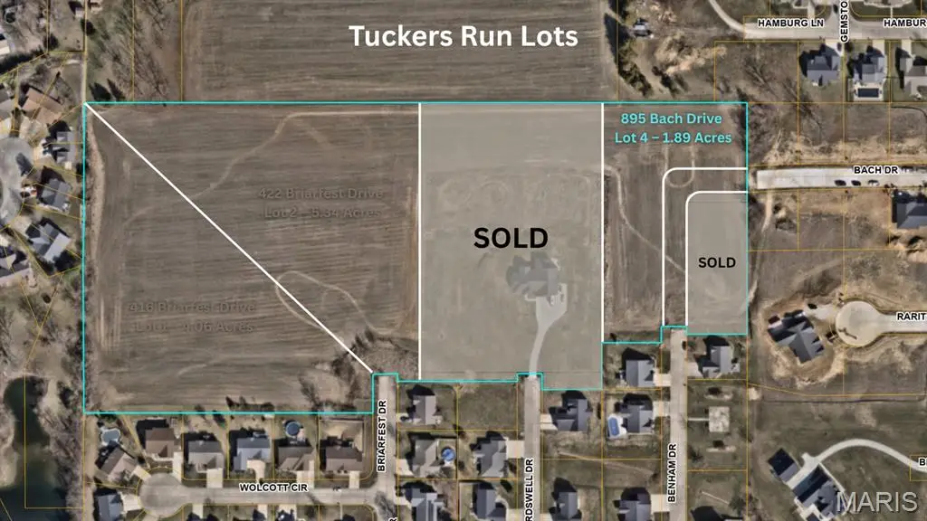 895 Bach Drive, Millstadt, IL 62260 - #1