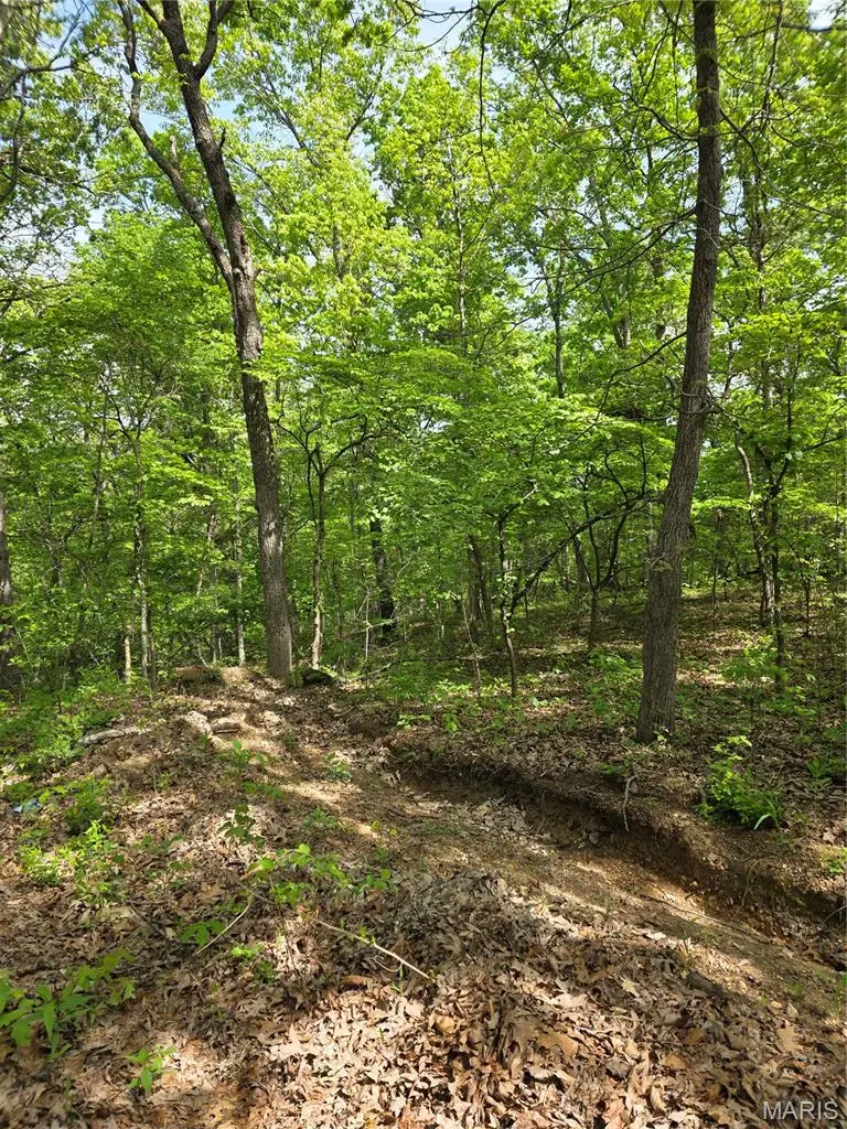 TBD Broken Circle Road, Stover, MO 65078 - #2