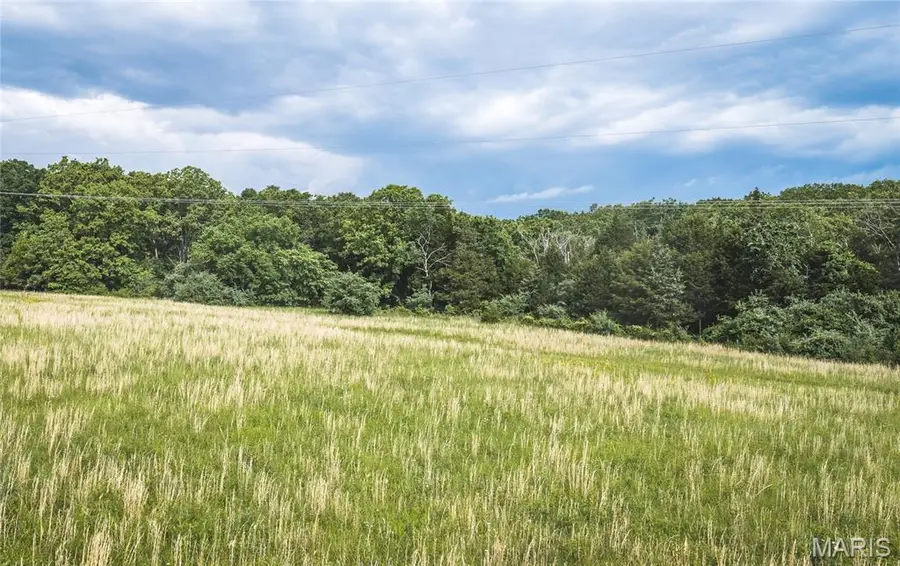 13469 County Road 2170, Saint James, MO 65559 - #3