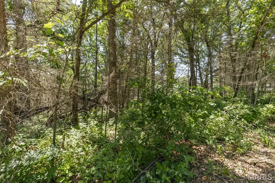 0 Verdun Place, Bonne Terre, MO 63628 - #2