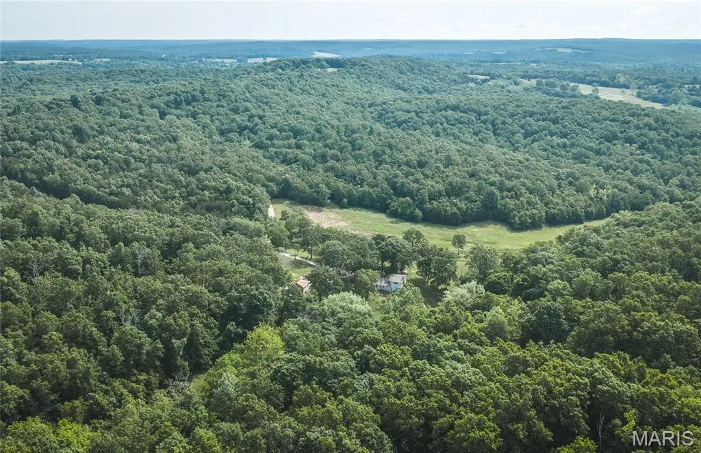 10105 Highway Z, Falcon, MO 65470 - #1