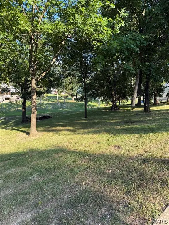 N 7th And Battles Ln, De Soto, MO 63020 - #1