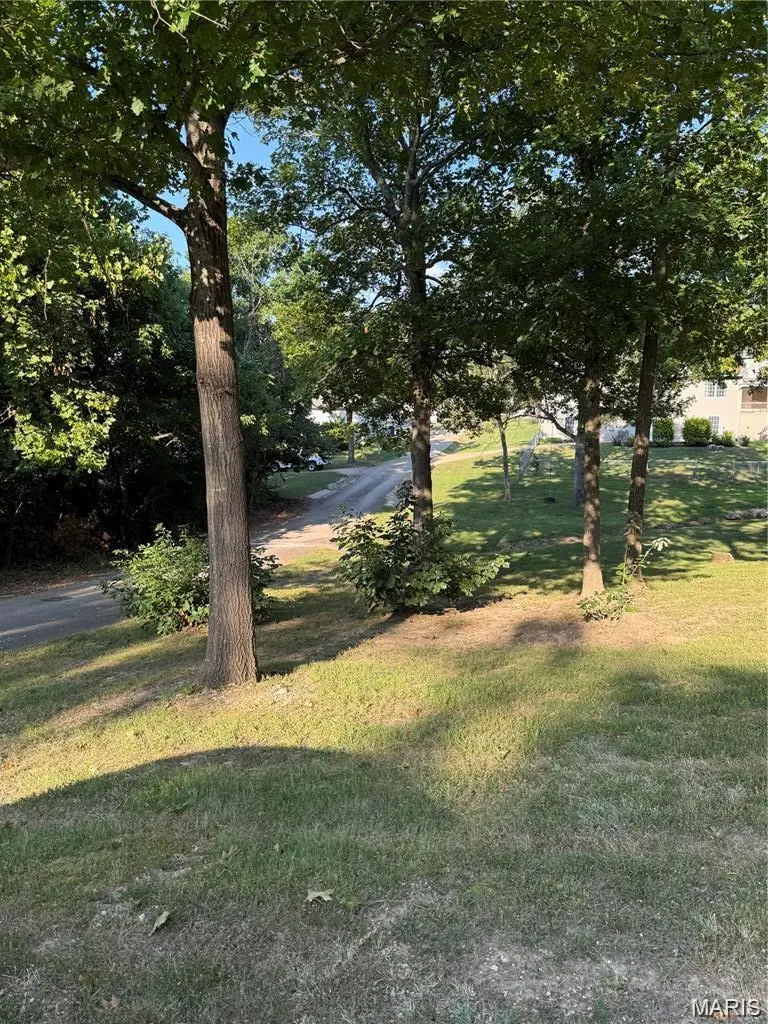 N 7th And Battles Ln, De Soto, MO 63020 - #2
