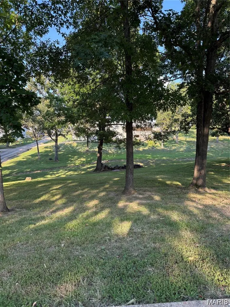 N 7th And Battles Ln, De Soto, MO 63020 - #3