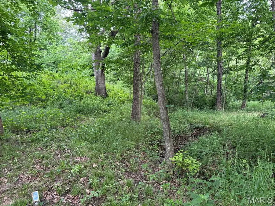 TBD Panama Avenue, Panama, IL 62077 - #3