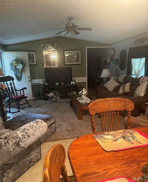203 N Jobe Drive, Bertrand, MO 63823 - #2
