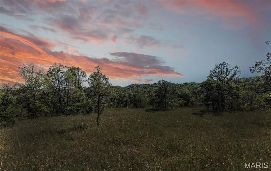 43 acres +/- Recreational/ Hunting Ground, Dittmer, MO 63023 - #1