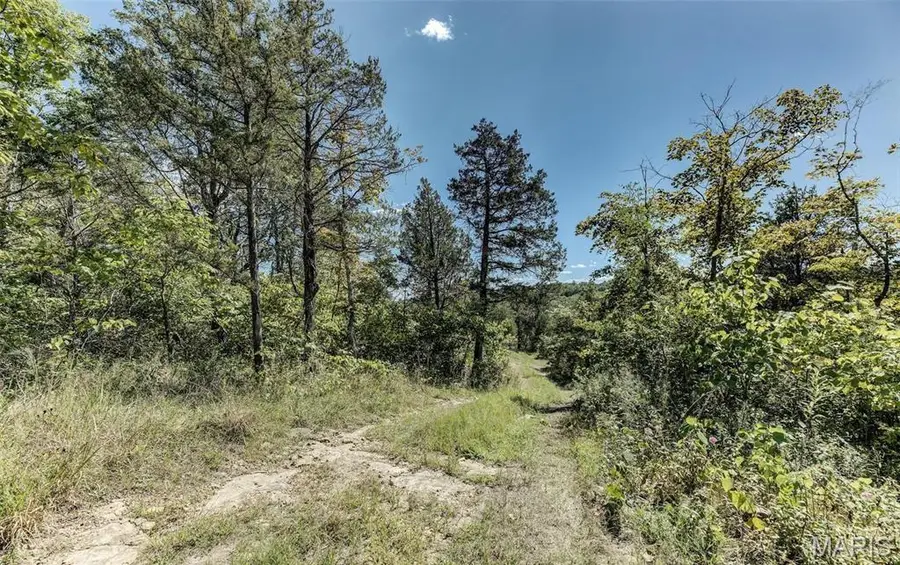 43 acres +/- Recreational/ Hunting Ground, Dittmer, MO 63023 - #3