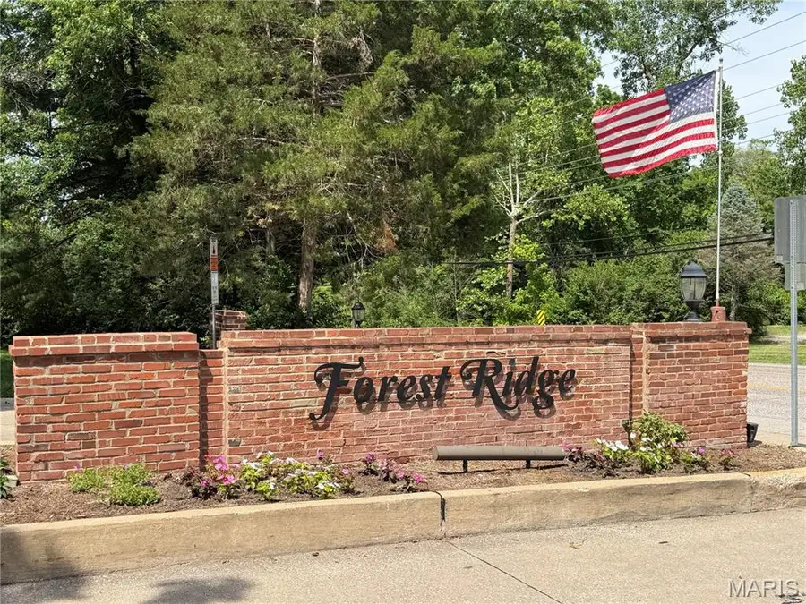 44 Forestvale Drive, Chesterfield, MO 63017 - #2