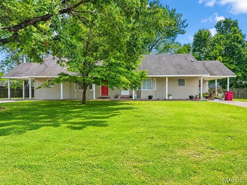 115 & 117 David Drive, Sikeston, MO 63801 - #1