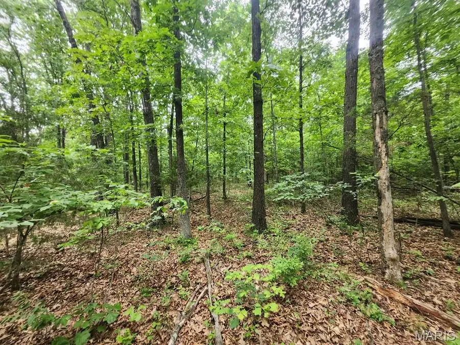 5853 M- Missouri 5, Hartville, MO 65667 - #3