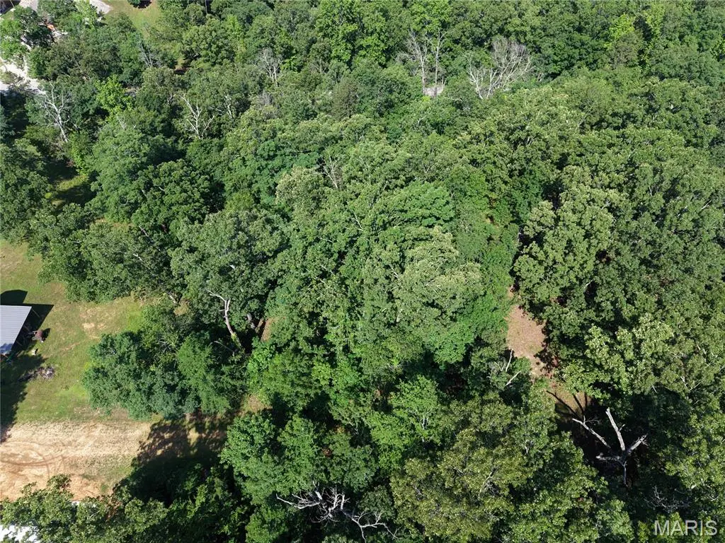 Lot 31 Radcliff Lane, Poplar Bluff, MO 63901 - #1